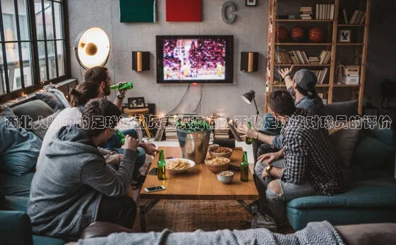 天博官网登录入口网址京东西北人眼中的足球运动员表现如何？西北足球迷对球员的评价