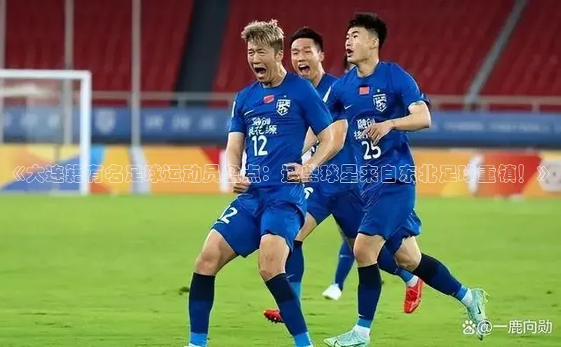 天博TB综合体育华策影视《大连籍有名足球运动员盘点：这些球星来自东北足球重镇！》