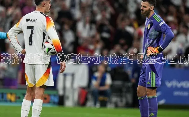 天博·体育全站app官网金山办公荣耀时刻：体育运动顶级奖项盛事回顾