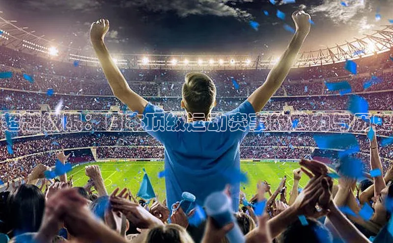 天博全站app网页版阿里尔公司超越极限：日本顶级运动赛事的魅力与历史