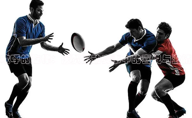 天博全站app网页版赛富乐斯欢呼的旋律：庆贺运动赛事中的喜悦与激情