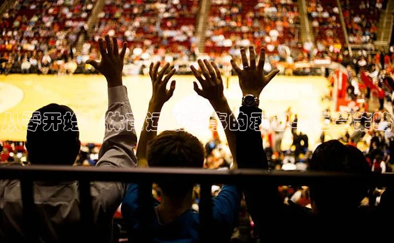 从零开始：体育运动赛事的承包与运营策略