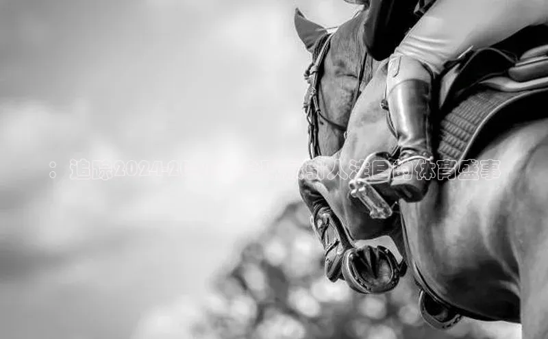 ：追踪2024-2023年全球最引人注目的体育盛事