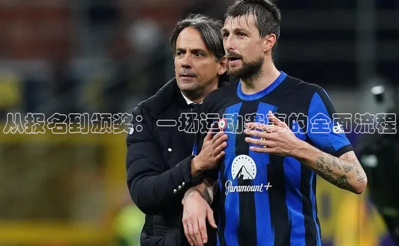 从报名到颁奖：一场运动赛事的全面流程