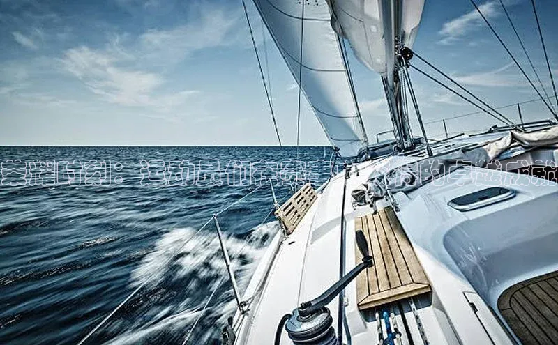 荣耀时刻：运动员们在赛事中获得的卓越成就