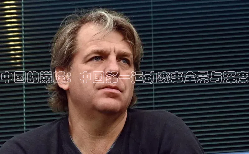 中国的巅峰：中国第一运动赛事全景与深度