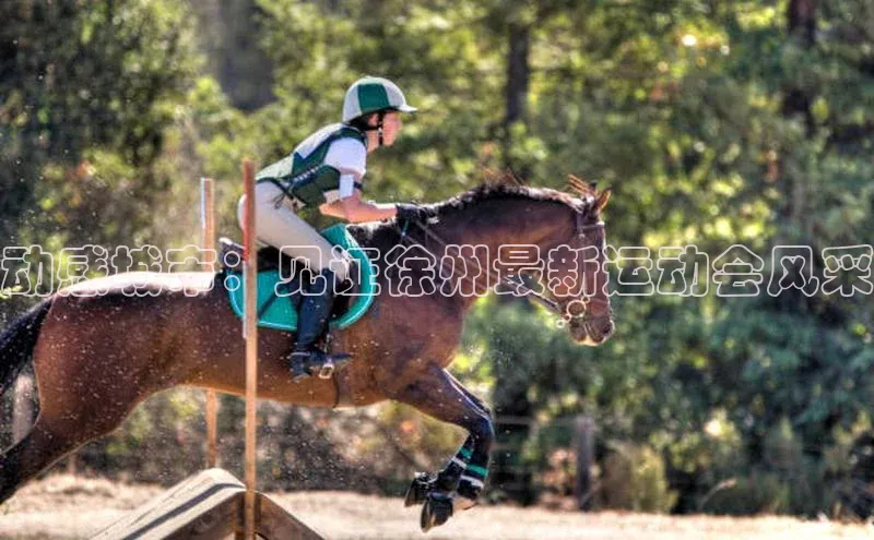 动感城市：见证徐州最新运动会风采