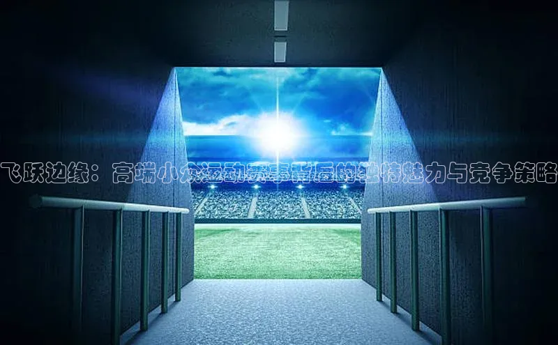 飞跃边缘：高端小众运动赛事背后的独特魅力与竞争策略