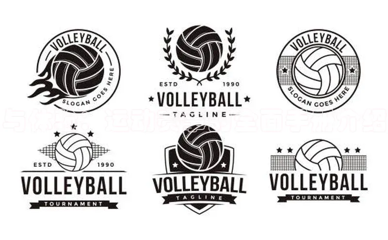 与体验：运动赛事的全面手册介绍