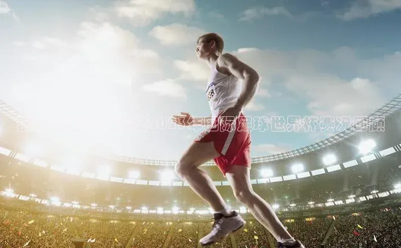 剖析与展望：深度2023年国际足球世界杯赛况回顾