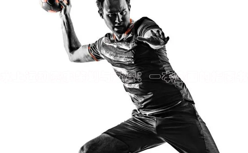 水上运动赛事策划与运营：一本全面的指南书