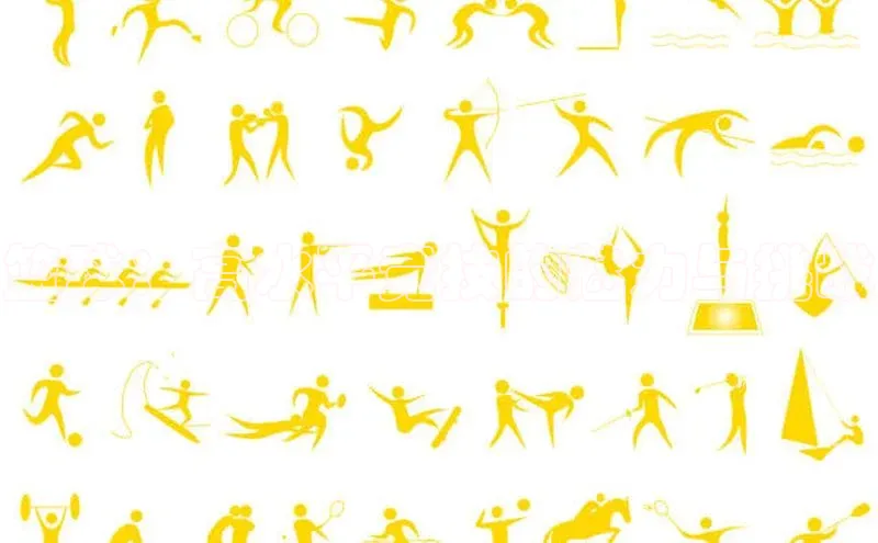 篮球：高水平竞技的魅力与挑战