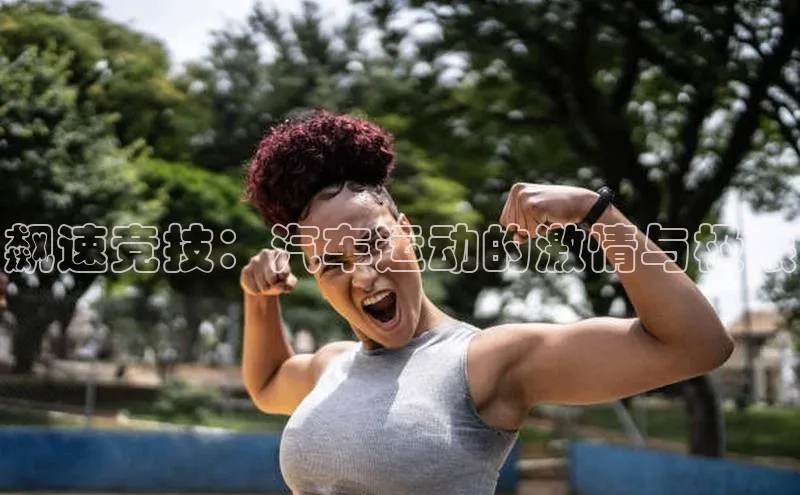 飙速竞技：汽车运动的激情与极限