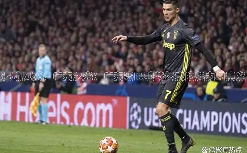 运动风采，广东之光：广东赛区独特标志的魅力与意义