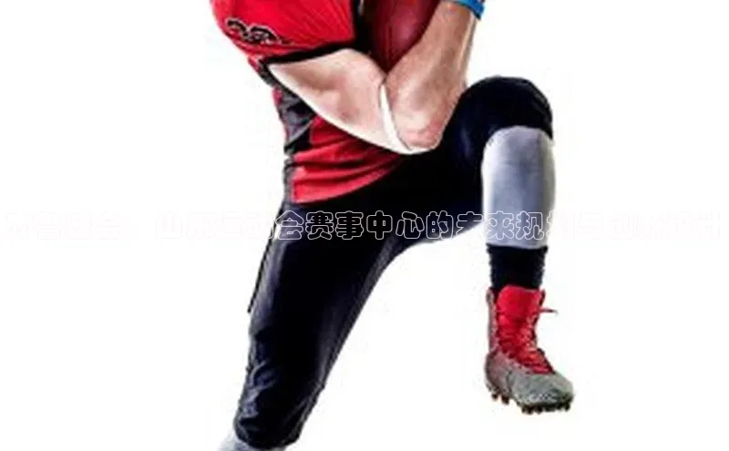 齐鲁盛会：山东运动会赛事中心的未来规划与创新设计