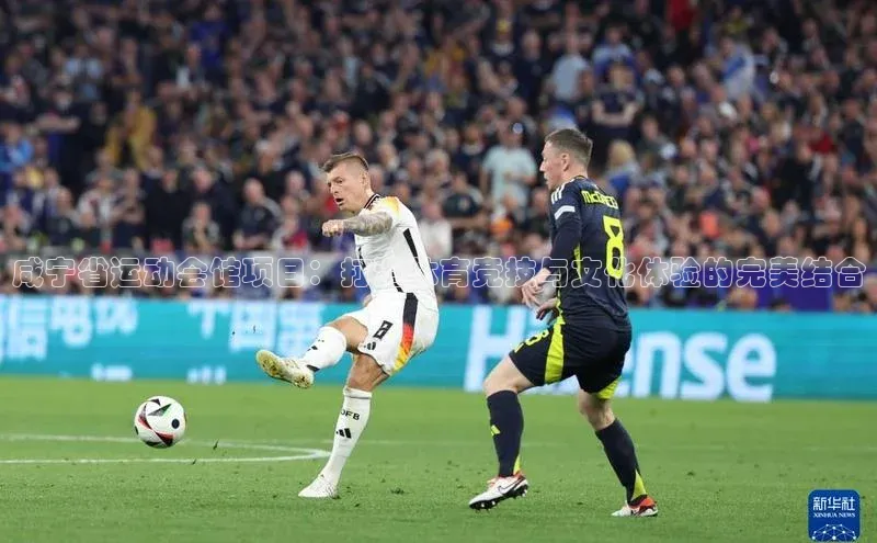 咸宁省运动会馆项目：打造体育竞技与文化体验的完美结合