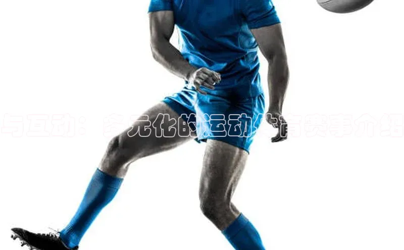 与互动：多元化的运动体育赛事介绍