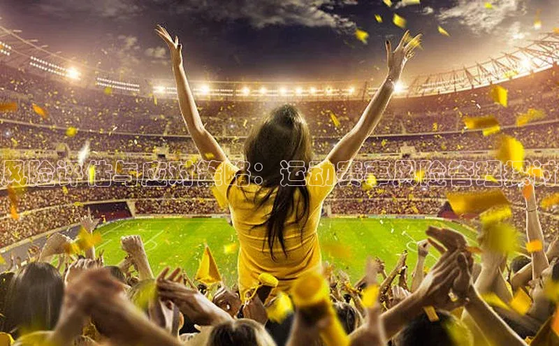 风险评估与应对策略：运动赛事风险管理探讨