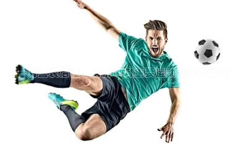 十一月盛装启程：庆祝11月重要运动赛事大回顾