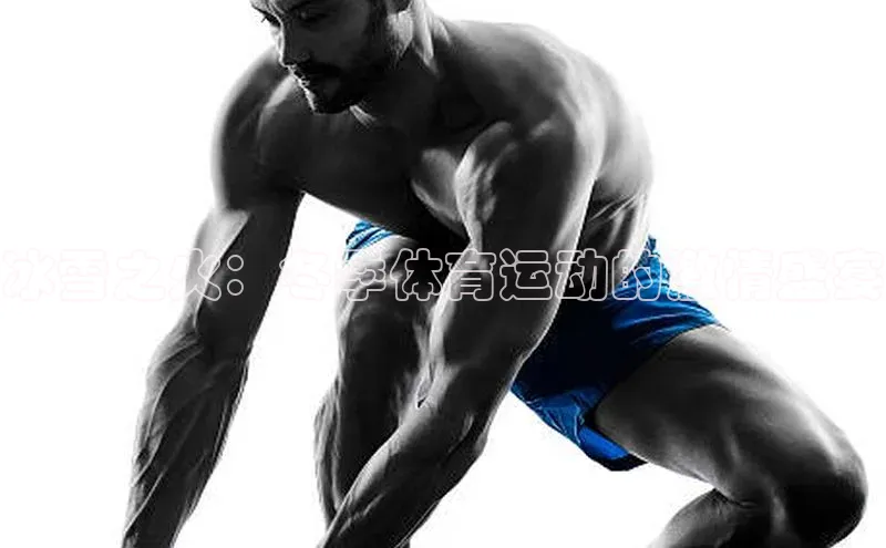 冰雪之火：冬季体育运动的激情盛宴