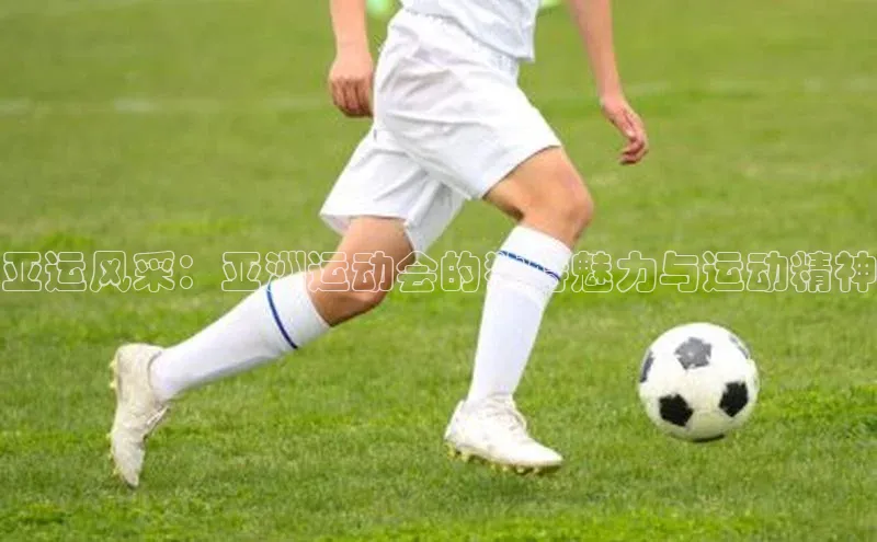 TB体育app官方网站