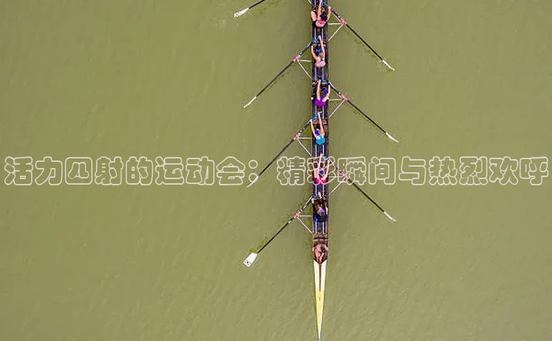活力四射的运动会：精彩瞬间与热烈欢呼